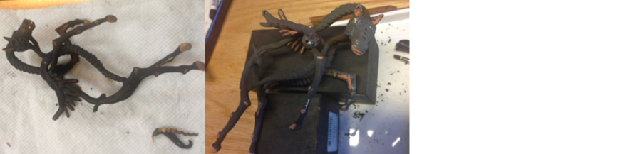 pegasus-process-C